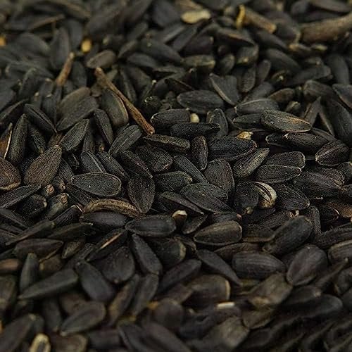 Semi di girasole neri BusyBeaks - Alimento ricco di olio per uccelli selvatici del giardino (20kg)