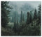 SMTDeco Herdabdeckplatte Ceranfeld Abdeckplatte Herdabdeckung Herdplatten Abdeckungen Induktionskochfeld 60x52 cm 1-tlg. Wald Nebel Grün