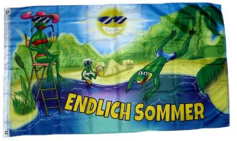 Fahne/Flagge Endlich Sommer Frösche 90 x 150 cm