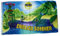 Fahne/Flagge Endlich Sommer Frösche 90 x 150 cm