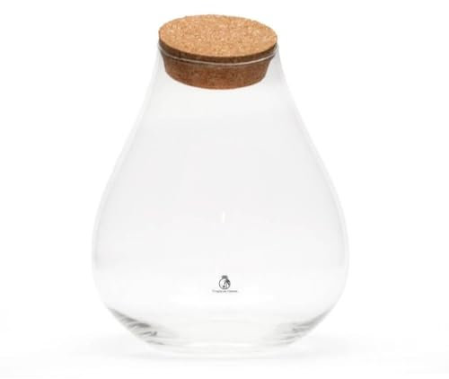 Teardrop Glass Terrarium Container with Cork Lid H: 25 cm - Glass Jar Terrarium Tropical Plant Terrarium Glass Vase with Lid - Indoor Home Garden Decor