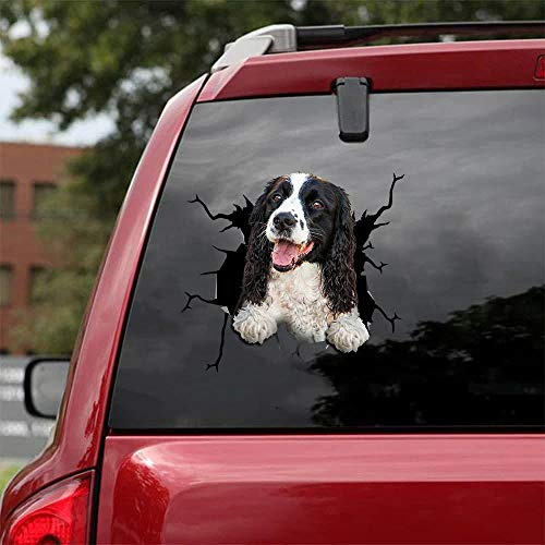 Ocean Gift English Springer Spaniel - Adesivi per auto per cani, confezione da 2, realistici inglesi Springer Spaniel, per finestrini auto, muri serie 69, dimensioni 25,4 x 25,4 cm