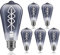 Gorssen Edison Vintage Glühbirne E27-6W 465 LM LED Filament Lampe, Ersazt 60W Halogenlampen, Kaltes Weiß 6500K Antike Lampe Ideal für Retro Beleuchtung im Haus Café Bar - 6 Stück