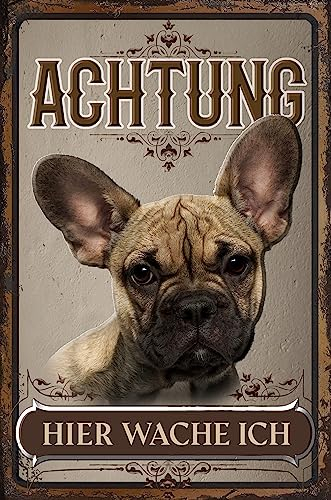 30 x 20 cm wetterfestes Blechschild, Warnhinweis, Torschild, Achtung, hier Wache ich! Warnung vor dem Hund (Französische Bulldogge 1)