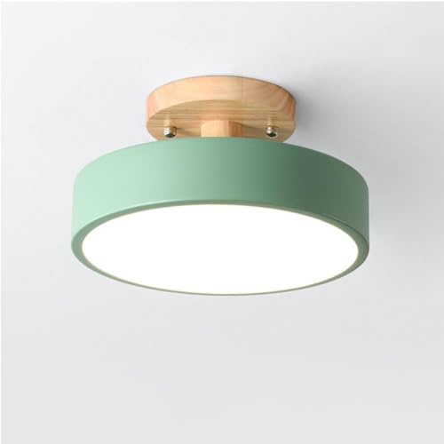 TONGNIDA 18 cm Durchmesser moderne dimmbare Deckenleuchte 12 W Creative LED Light für Veranda Schlafzimmer (Grün)