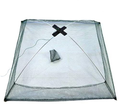 Mwqpgyh 60x60cm Köderfischsenke Mit Rand, Fischsenke Mit AntiFlucht Rand, Köderfischfalle, Köderfisch Senke Mit Fluchtschutz Und Schnellspann-System, Klappbarer Fischnetz-Garnelentopf, Angeltopf