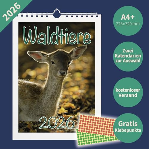 Waldtiere 2026 Wandkalender A4+ – Stimmungsvolle Tieraufnahmen aus dem Wald – 22,5×32,0 cm – mit Markierungspunkten – Natur & Tier Fotokalender (Kalendarium 1)