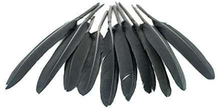10 Indianerfedern ca. 10-15cm (schwarz 030) // Dekofedern Bastelfedern Masken Federn Schmuckfedern Vogelfedern