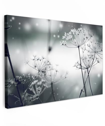 MuchoWow© Stampa su Tela 90x60 cm Quadri da Salotto Moderni Soggiorno Canvas per bagno Foto Decorazioni Parete con Fiori - Natura - Bianco e nero - Fotografia