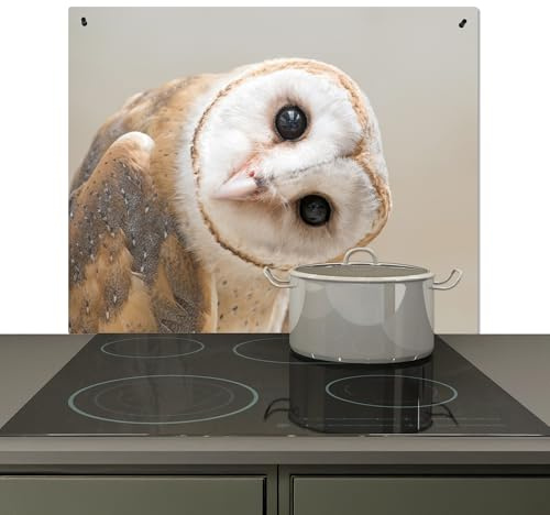 KitchenYeah© Spritzschutz Herd Küchenrückwand Vinyl Kuchendeko Kitchen Wall | 60x52 cm - Protector, Herdabdeckung Ceranfeld Schleiereule - Tier - Beige - Eule