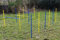 AGILITY-ÜBUNGS-HÜRDEN/SLALOM-STANGEN-SET IN BLAU/GELB