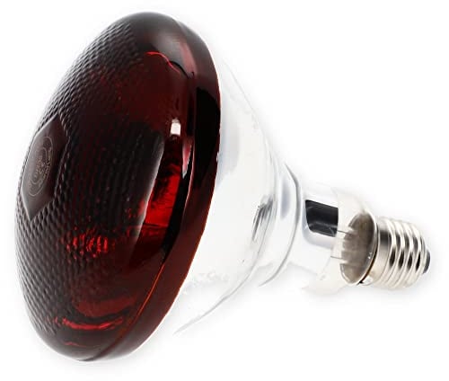 GarPet Rotlichtlampe Wärmelampe Tiere Gesicht Infrarotlampe 100 Watt Infrarot Lampe Terrarium Baby Geflügel Infrarotbirne