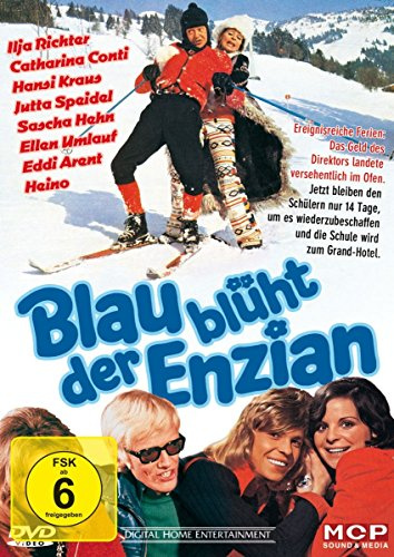 Blau blüht der Enzian