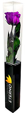 Mundo Eterno Rosa Eterna Preservada 55cm Lila Oscura