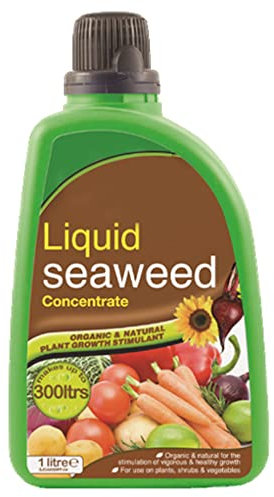 Liquid Seaweed Concentrated for Pest Free Environment Organic & Natural Growth Stimulants for Plant Food Shrubs Vegetables 1 Liter