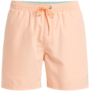 Quiksilver - Spl Fineline Volley 15 Boardshorts - Mann