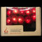 Blaze On Cabbage Rose Fairy Lights (Red) – 10 Warm White LED Lights – Handcrafted Roses Created from Real Rubber Tree Leaves – 3-Pin UK Mains Plug – Indoor Decorative String Lights