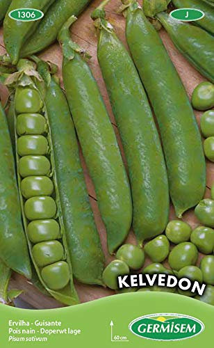 Germisem Kelvedon Semillas de Guisantes 100 g