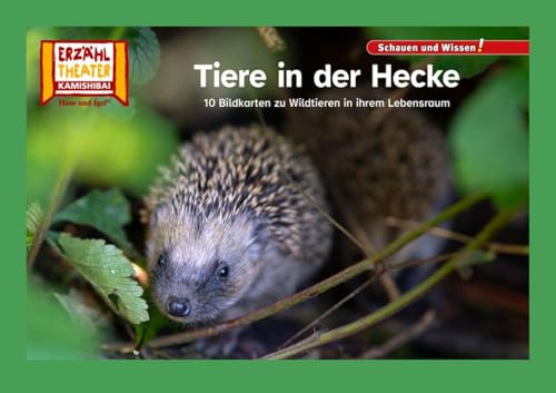 Tiere in der Hecke / Kamishibai Bildkarten: 10 Fotobildkarten für das Erzähltheater