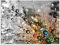 ARTland Wanddeko Wandbild Alu Verbundplatte für Innen & Outdoor Bild 80x60 cm Blumen Pusteblume Botanik Blüten Modern Kunst Sommer Natur T9IN