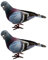 Yardwe 2 Stücke Taube Figur Styropor Figur Vogel Gartenfigur Styropor Taube Form Modell Vogel Ball Dekovögel für DIY Mottoparty Deko
