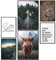 Papierschmiede® XXL Mood Poster Set Wildnis, Gerahmte Bilder (Aluminium Rahmen, Farbe wählbar), Wohnzimmer Deko Wandbilder Schlafzimmer, 2x A2 und 4x A3, Galloway Rind Hochland Natur Wald Holz Grün