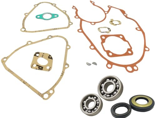 KIT REVISIONE MOTORE PIAGGIO APE 50 CONO 20 CUSCINETTI GUARNIZIONI E PARAOLI
