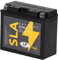 Motorcycle Powersport SLA Battery 12V 10Ah (10Hr) 175CCA Landport - MS LT12B-4