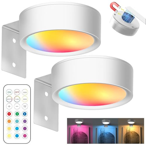 YOUYIKE 2 Piezas Aplique Luz Cuadros Sin Cable, LED Cuadro Mando a Distancia, 13 Modos de Iluminación, Regulable, Luz Magnética LED para Marco, Pared, Luces Artísticas Para (Blanco)