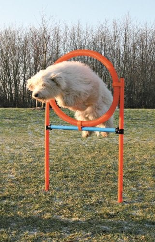 Trixie Agility Ring für Hundesport