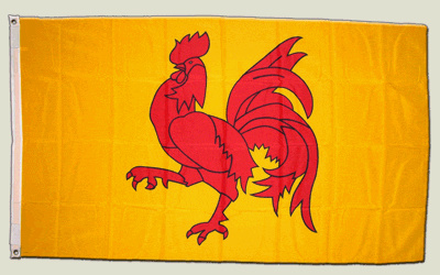 Digni drapeau Belgique Wallonie 90 x 150 cm