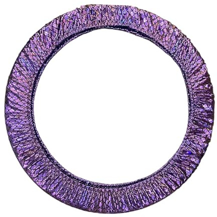 SZLIFE Copertura Protettiva per Cerchio Da Ginnastica Ritmica Da Diametro Interno Entro 85 Cm, Copricerchio Ginnastica Ritmica in Poliestere, Porta Cerchio per Ritmica Da Usura, Graffi E Urti, Viola