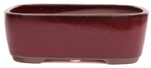 Bonsai - Schale eckig 27 x 21 x 9.5 cm Bordeaux 30161
