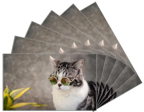Wallario 6er Set Frühstücksbrettchen aus Glas, Glasunterlage, Glasbrettchen Katze mit Stil, Größe 14 x 23 cm, Sicherheitsglas