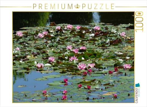 CALVENDO Puzzle EIN Motiv aus dem Kalender Freude an Seerosen | 1000 Teile Lege-Größe 64 x 48 cm Foto-Puzzle für glückliche Stunden