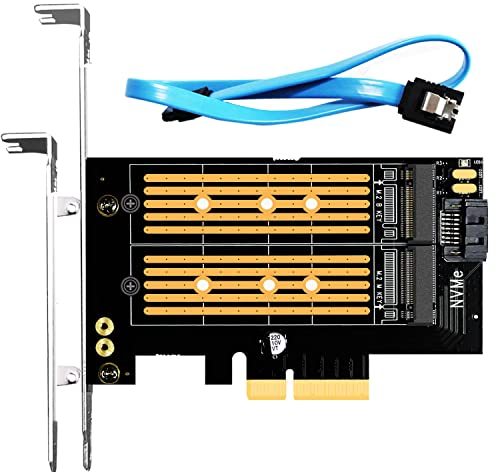 GLOTRENDS PA12 Dual M.2 SSD PCIe X4 Adapter für eine M.2 NVMe SSD und eine M.2 SATA SSD, unterstützt PCIe 4.0 SSD und OS Boot von M.2 NVMe SSD