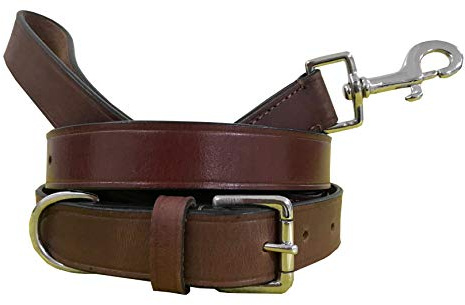 BRADLEY CROMPTON Hundehalsband und Leine aus echtem Leder, Größe M