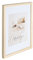 Holz Bilderrahmen Plexi Foto Rahmen Collage Wanddeko Poster S111: Farbe: Natur | Format: 10x15