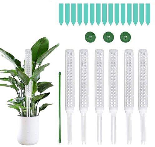 Qivine 6 Stück Rankhilfe für Kletterpflanzen, 63,4cm Rankhilfe Zimmerpflanzen Plastik, Pflanzenstütze mit 3×200cm Schnalle Riemen, Stapelbar Rankhilfe für Pflanzen Klein Topfpflanzen Hausgarten