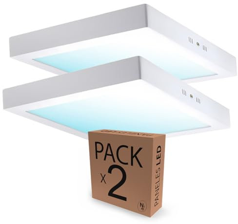 Lámpara de Techo LED 24W 295x295mm, Plafón LED Techo para Cocina, Salón, Dormitorio y Pasillo, Focos LED Interior para Techo, Iluminación Moderna para Habitaciones, 2000LM Luz Fría 6500K - PACK 2