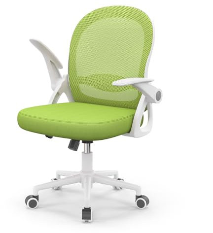 naspaluro Home Office Chair Ergonomic Desk Chair Swivel Computer Chair Mid-Back Mesh Chair with Flip-up Armrests and Lumbar Support for Home/Office- Green