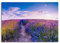 Paul Sinus Wandbild 100x70cm – Lebendiges Lavendelfeld, Provence, Lavendel, Naturidylle