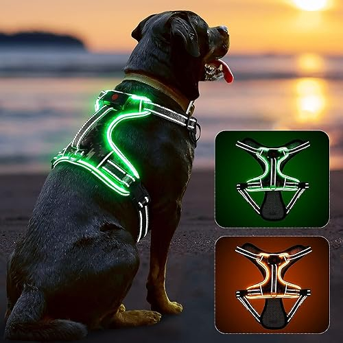 Hundegeschirr Leuchtend, Reflektierendes Leuchtgeschirr LED Leucht Hundegeschirr, No Pull Leucht Geschirr für Hunde mit Gepolstert Griff, Blinken Atmungsaktiv und Leichtgewicht Brustgeschirr, Grün XL