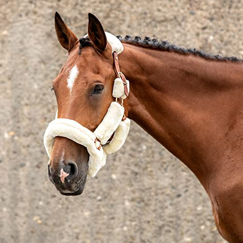 Sunride Fellhalfter für Pferde (Dover) mit Strick - aus Echtleder - verstellbar (Pony, braun)