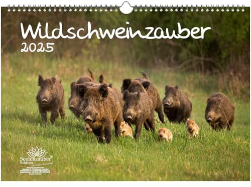 Wildschweinzauber DIN A3 Kalender für 2025 Schweine Schweinchen - Seelenzauber