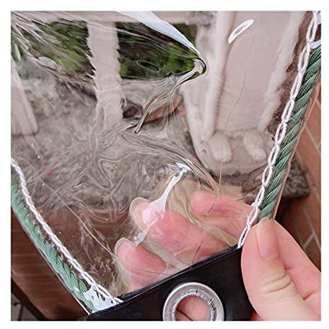 Plane, wasserdicht, strapazierfähig, 0,3 mm, transparente PVC-Plane mit Ösen aus Metall, reißfest, regenfest, für Außenbereich, Terrasse, Fenster, Pergola (Farbe: Klar, Größe: 2 x 6 m)