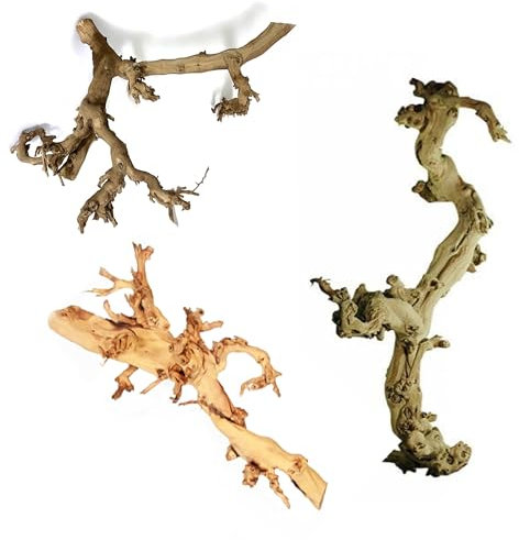 Rebholz hell - ca. 50cm - Dekoholz, Echtholz Wurzel, Weinwurzel, Weinrebe, Deko, DIY Holz, Bastelholz - Terraristik Rebkopf - Terrarium