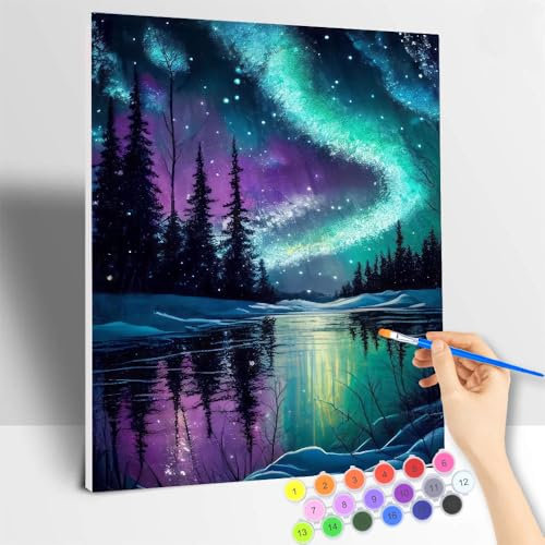 ShengDexin Malen nach Zahlen Erwachsene Mit Rahmen, Malen nach Zahlen Landschaft Nordlicht DIY Handgemalt Ölgemälde Kit Paint by Numbers Adult Mit 3 - Pinseln und Acrylfarbe - 40 X 50 CM