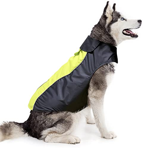 HiGuard Hunde-Regenjacke, Leicht, Wasserdicht für Große Hunde, Mit Reflektierenden Streifen und Leinenlöchern, Ideal für Winter, Warmer Regenmantel, Sicherheit für Welpen, XXL, Grün