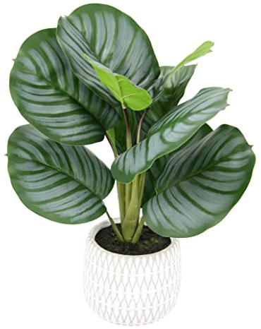 Künstliche Korbmaranthe Calathea Kunstblume Kunstpflanze Dekopflanze Tropische Zimmerpflanzen Maranthus Pflanze Blume Photospflanze Deko Seidenblume Grünpflanze Büropflanze Blattpflanze Busch